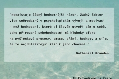 sebehodnocení