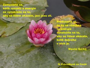Kolik je v lidech dobrého