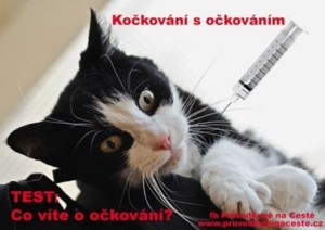 Kočkování s očkováním