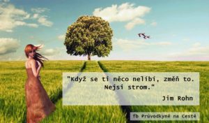 nejsi strom